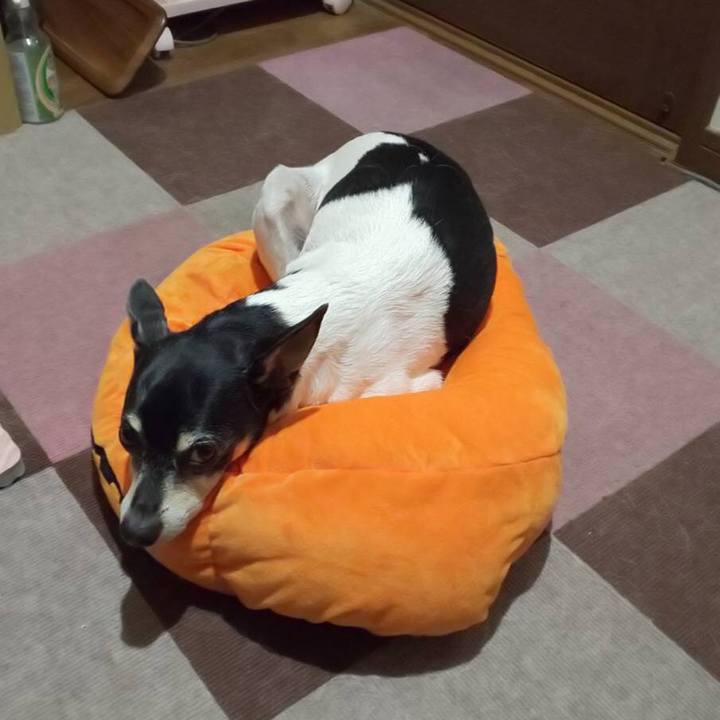 C296b63b 0424 4253 9810 f758104153c3 1557273567573