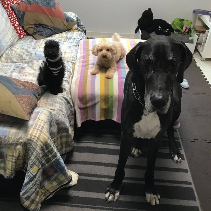 C296cca1 97ad 4b0a 868b c9560f332217 1529535232512