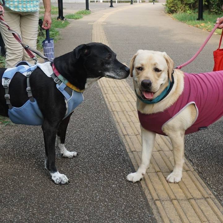 C296d91b bd84 4dab a693 2444ab73a30c 1755909160984