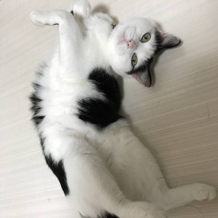 C296e0d1 48f0 4fea 9a1c 393ec8dfc5ec 1535285996153