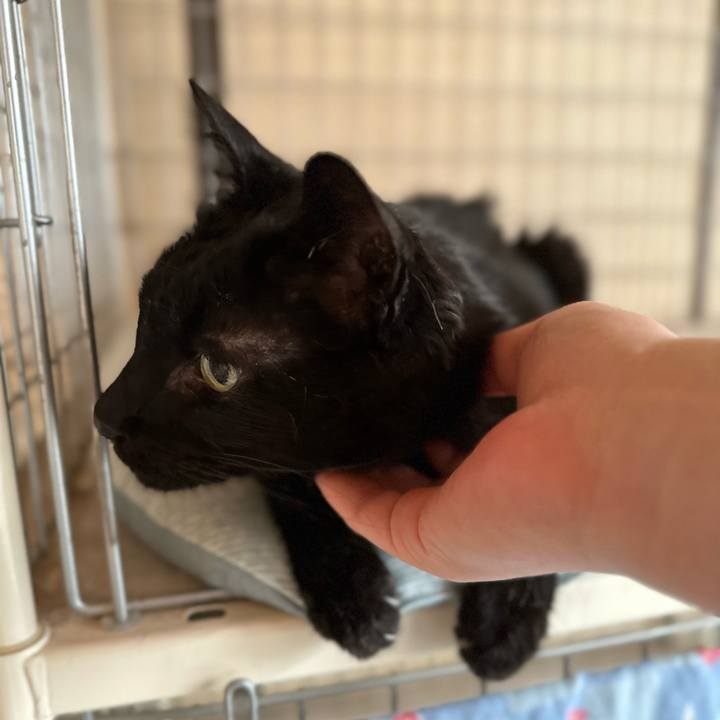 C2971683 7b3a 4252 a887 dabbb07b6498 1686014689407