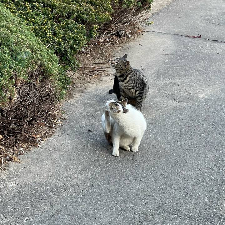 C2971919 7ecb 41b9 9a47 7d44c6cdf471 1649577344711