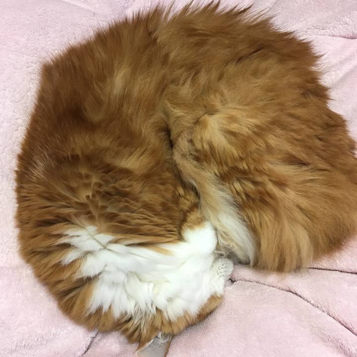 C2975b5b ee8a 4f78 b88d 218438e600a0 1540921884736