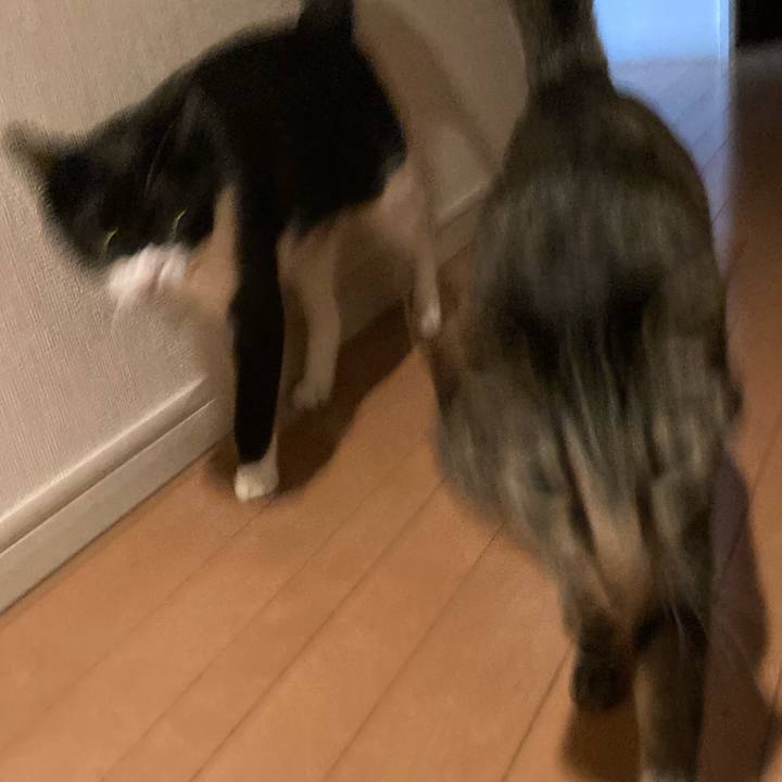 C297636a f3a1 4784 84e1 f8df66dab351 1618153421809