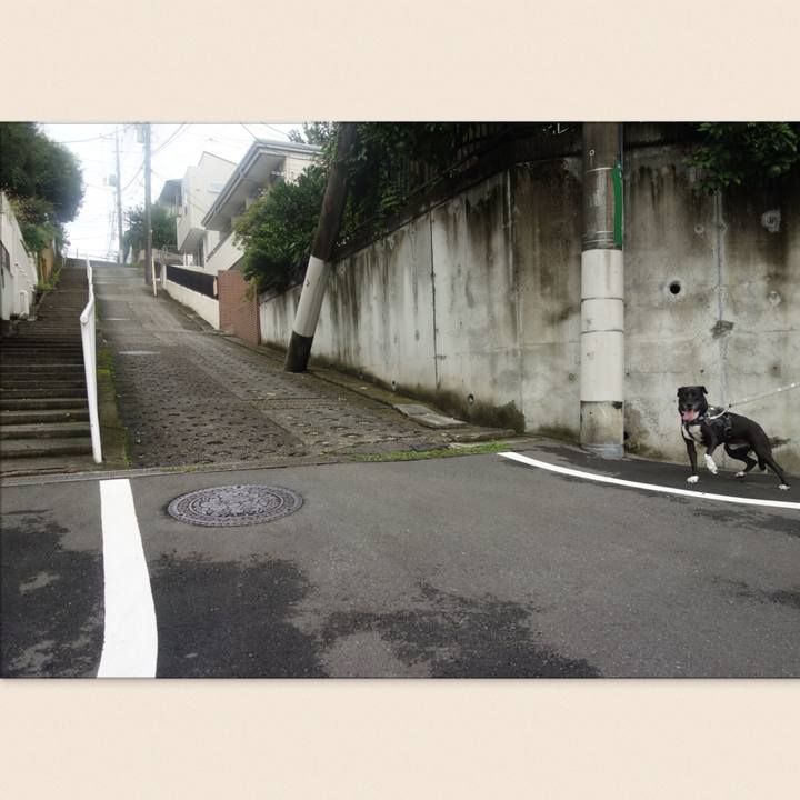 C2978f5a 7352 4394 8e9e 14e3e3757e18 1664068408893