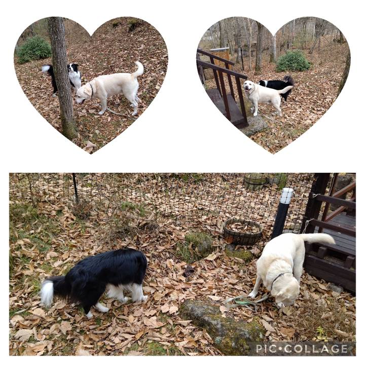 C297dd5c 544c 4d55 9a6f 40d8a58d6120 1699238529858