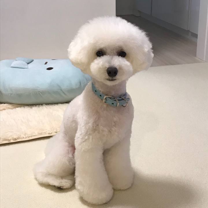 C297df93 c12c 4aa1 8b6a b2a83623acb8 1532505205106