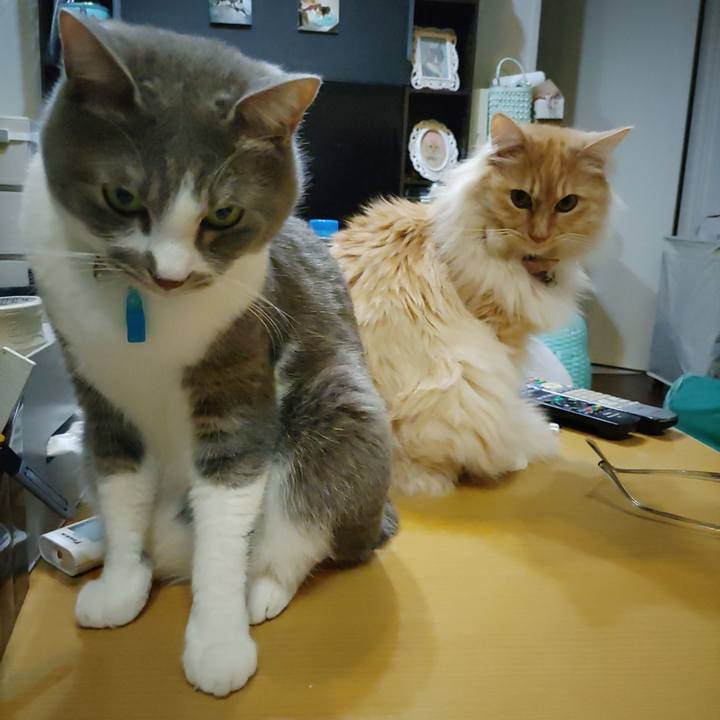 C297e0b0 f349 4c6f 8754 de8a79ad3dba 1708088378593