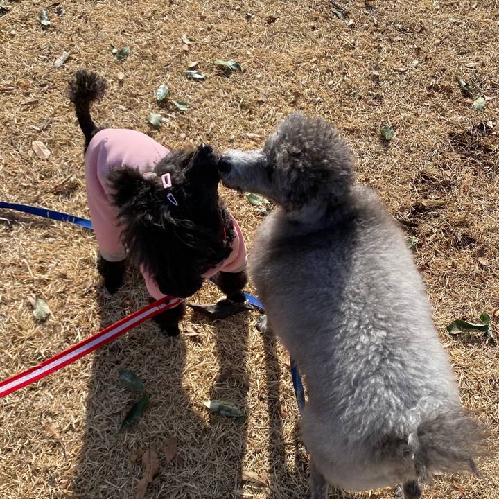 C297f51b f717 48a5 b1f6 e7e2598cc46f 1642398025154