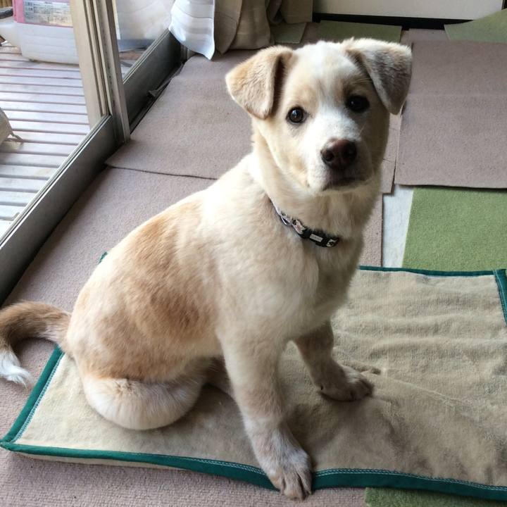 C297f9e5 b63d 42d0 b6dc 78e7a2ca2460 1567697636494