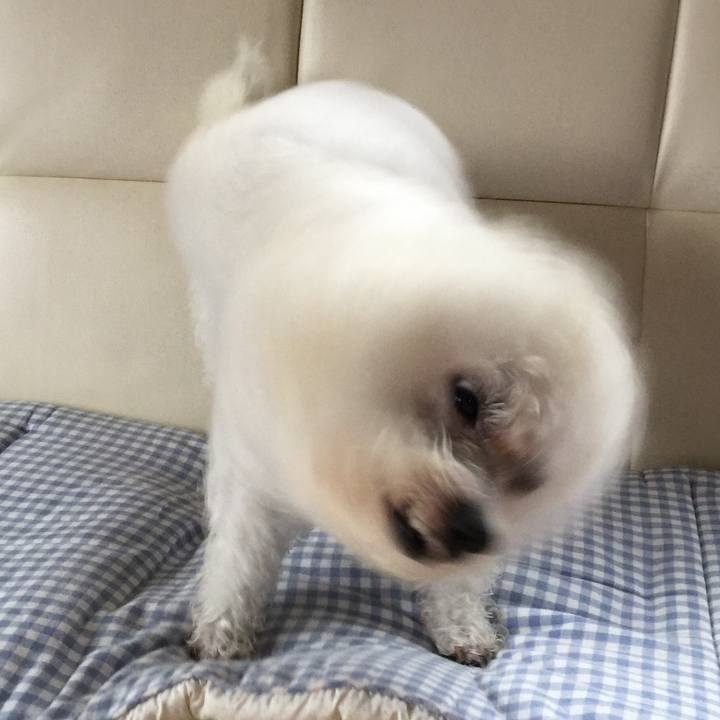 C2986158 df60 4db4 8274 7329df9ca22e 1538872166667