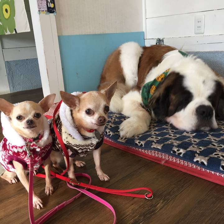 C298647e 0796 4ee9 82aa 8246a7e5927d 1515062113477