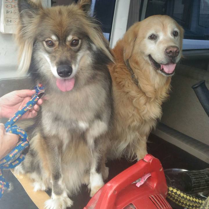 C2987278 c1e3 4928 85d4 414a047d1534 1536142237806