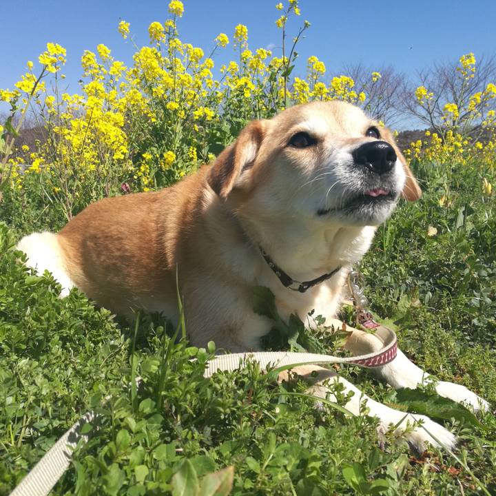 C29889f5 3ee9 404e 960f 7018a5560906 1552014625067