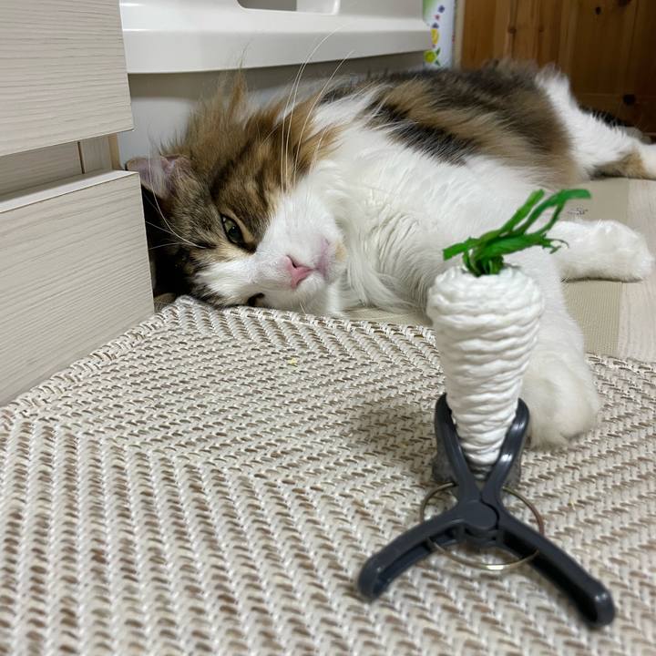 C2989bef a52d 4427 af04 0aa03c42ce23 1649765474126