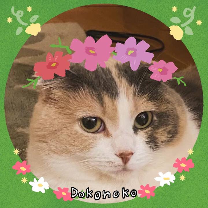 C298bd2a 5ee4 429a 83ea e9f10950c4c6 1727267429673