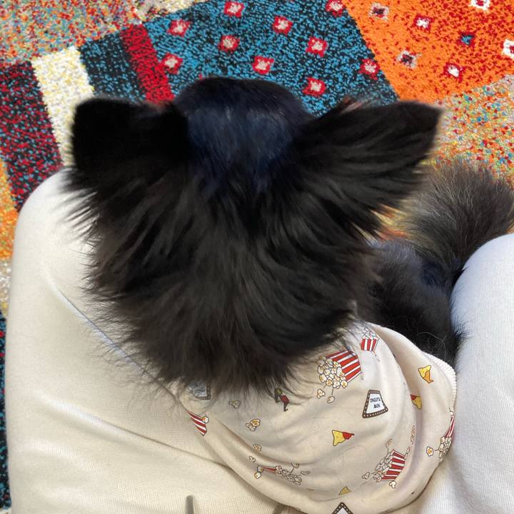 C298d39e 1f93 469f a035 debbde50cc20 1700406271044