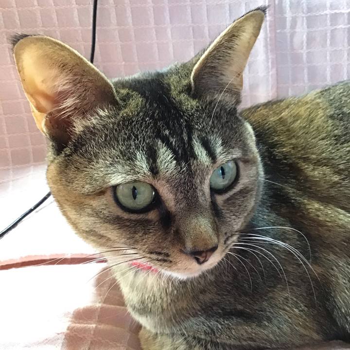 C298effb 3480 4de4 9113 01be7d36b5bf 1610005398534