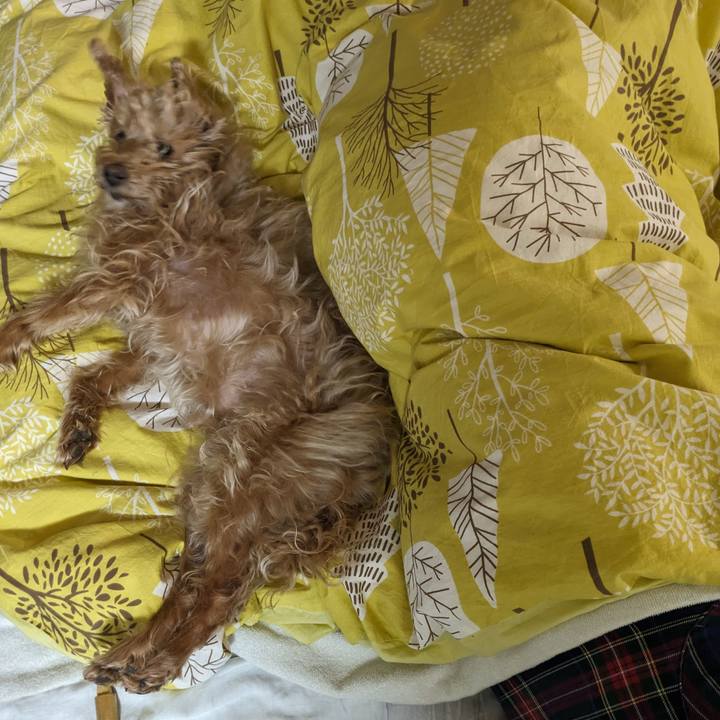 C298f630 c3f5 4fc0 a98d cfcfc5a2675d 1716816283738