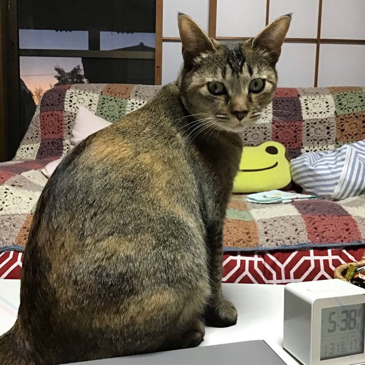 C29905fe c8c3 48a6 a9ef e0eec69d4603 1580465953792