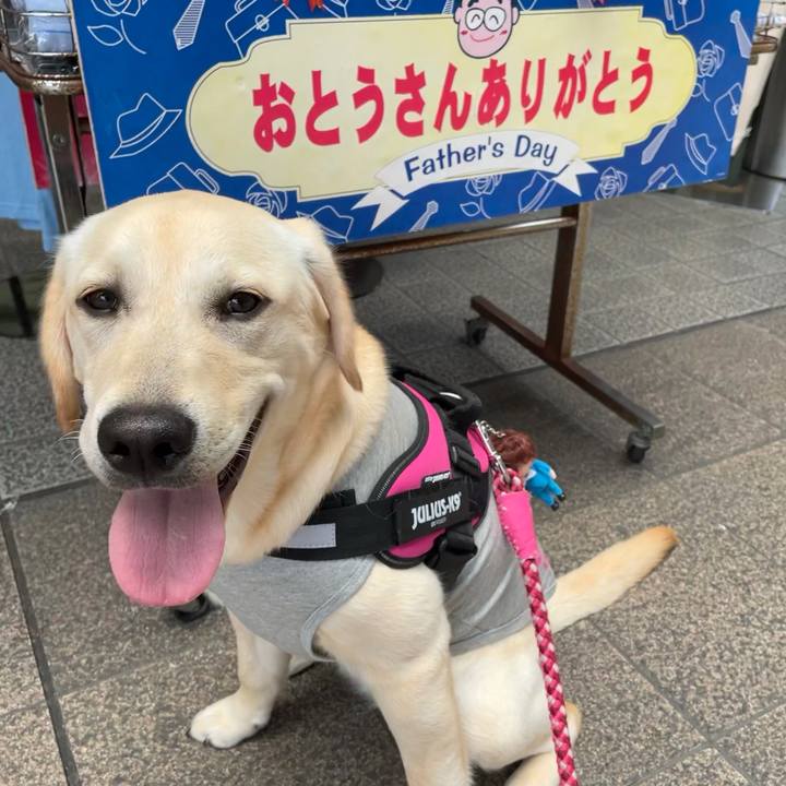 C29908a5 0f20 44d3 9aaf c811ca16fd4d 1624239504916