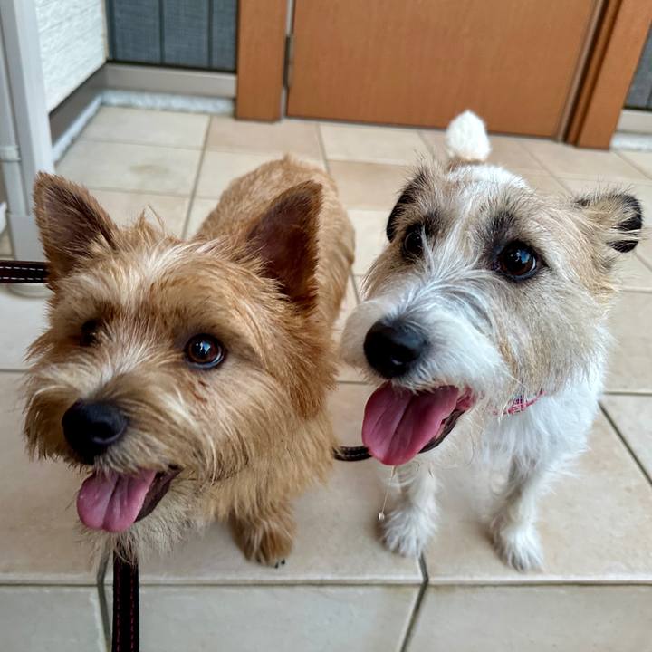 C2991114 7e48 473e 9cac 414ae90334d6 1750446239538