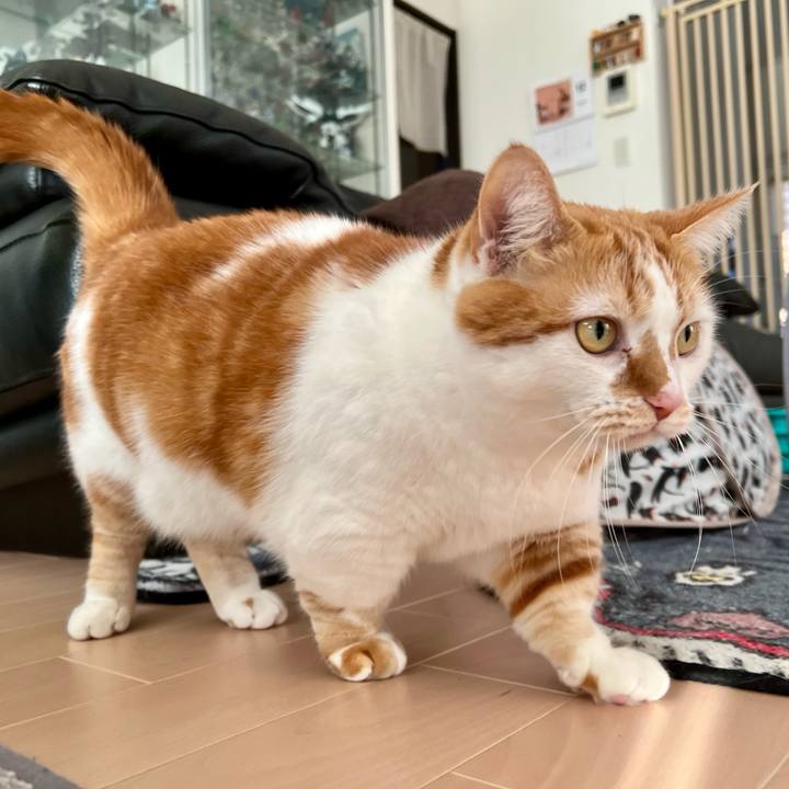 C29931ac 3933 4193 bf96 7de9116e6b55 1765511092257