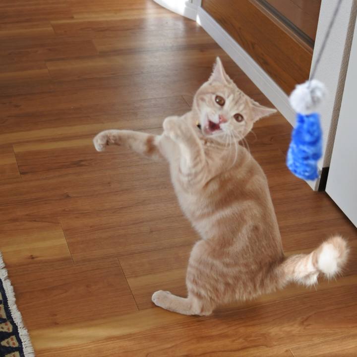 C299537d a9a8 4e51 ac47 d5b867d5c055 1552117202875