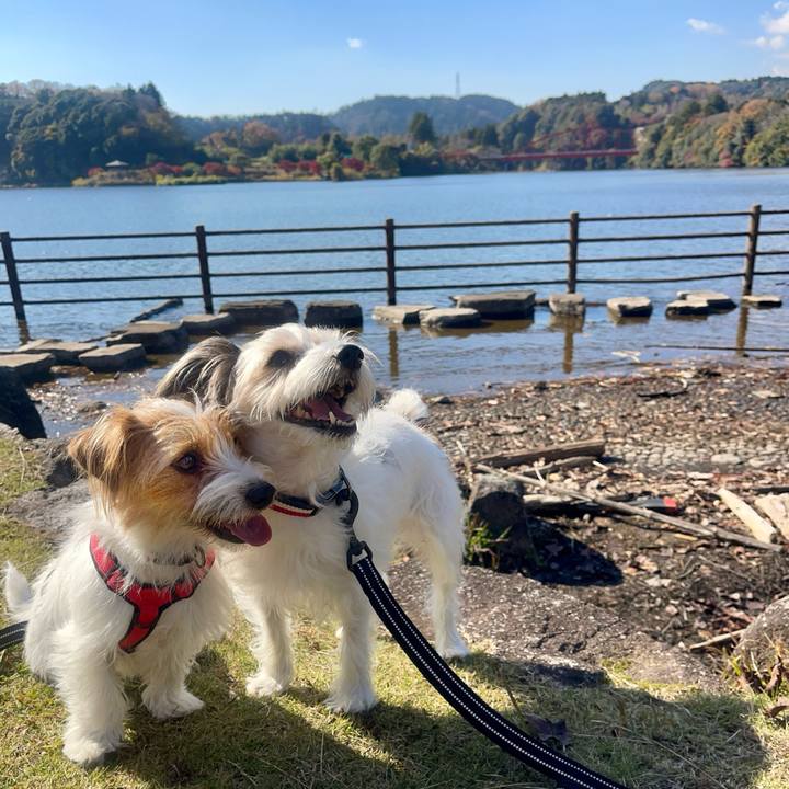 C29954fb 28b0 4f82 866e 890cc56bee78 1764327733915