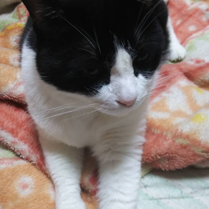 C2997e95 3a70 41e0 aaa0 53fafc8c9428 1564005205900