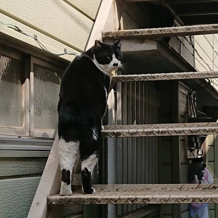 C2999b46 8cdd 4797 b0b7 294d9dabbc8e 1554614507794