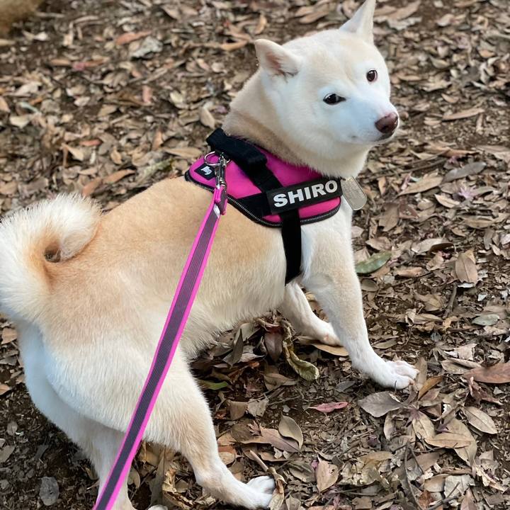 C299a72c 01bd 41ba a437 a5b20ebc6c0e 1646778701887