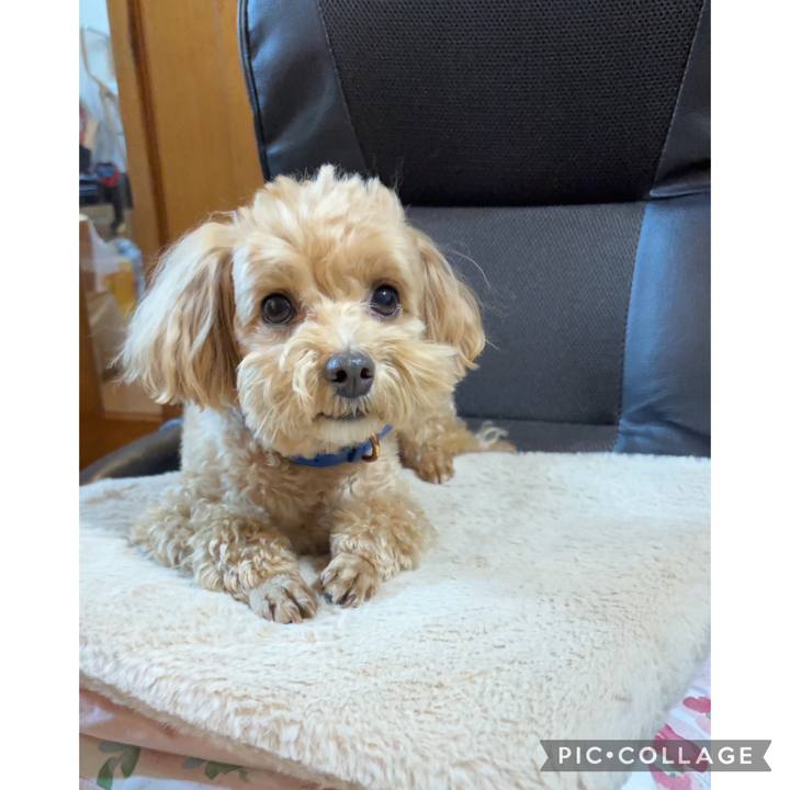 C29a034a 582c 460d 8cd8 de85c3e86294 1705157122684