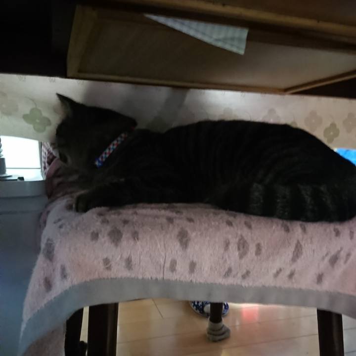 C29a39db 2938 4dd4 8f65 852caae61e91 1640470304021