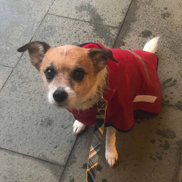 C29a43c9 0944 4c42 b2cb 32ce6fa0d2fe 1571954457793