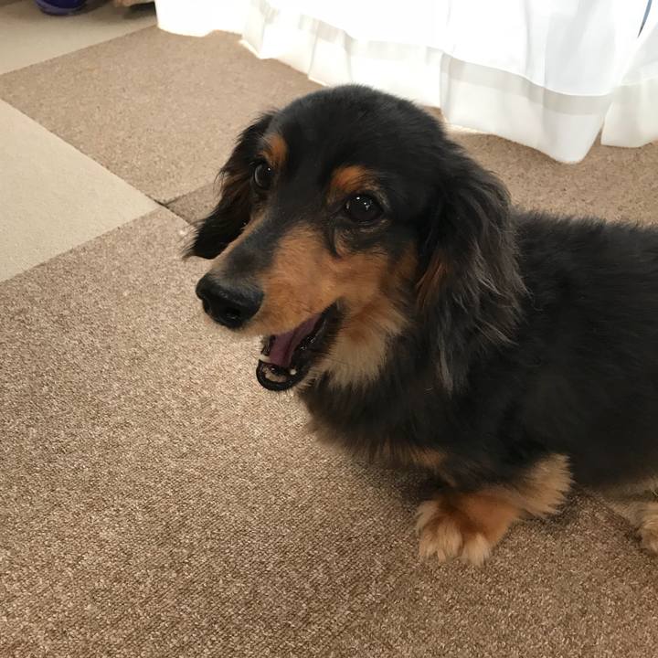 C29a9b2f a873 428f aec0 d912395d712b 1523396889959