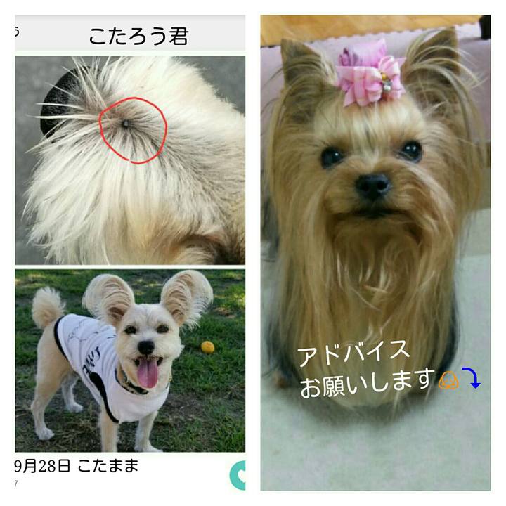 C29ab485 eda0 4c58 9a2e 3e4b73fdd10f 1538399767555