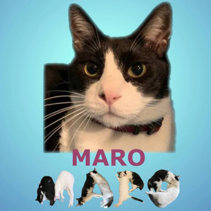 C29ad710 4e42 4c97 b1b1 6ae2741f0012 1667905028454