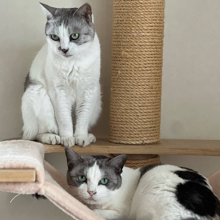 C29ae350 99bd 4cd3 836e 797a66489893 1696893723264