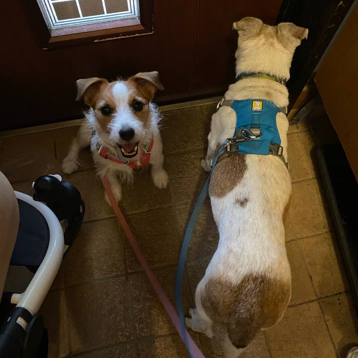 C29b20be 6e02 437a 96ad 1b1bf0635886 1720914763655