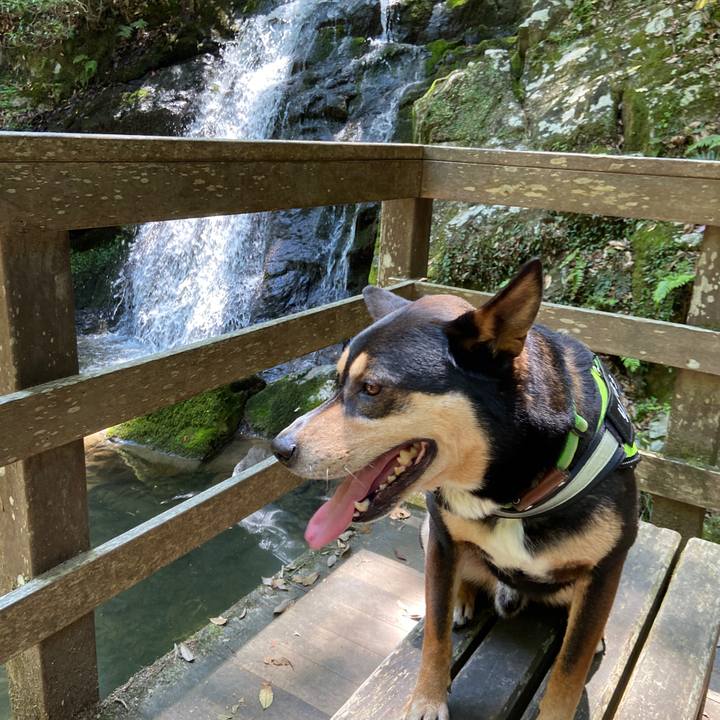 C29b2159 825d 4c9d b4ec 7527c7801320 1651664892137