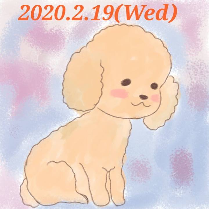 C29b78ca daa8 47c4 baa3 8fa5e4f189cf 1582121260417