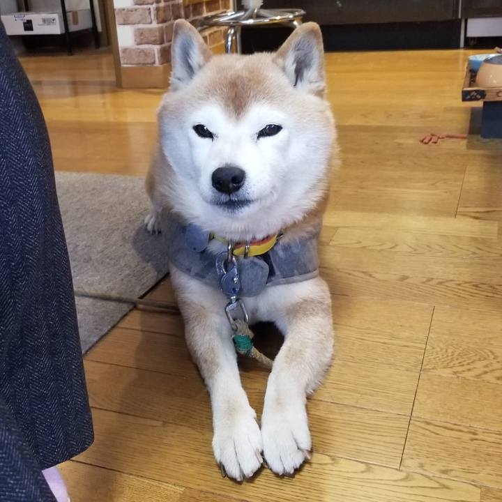 C29b8845 94d3 4a16 bcd2 8909dc5e2c0f 1677713111913