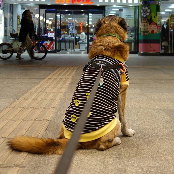 C29b9fd7 3f40 4f83 9453 1344430b02cf 1628381708885