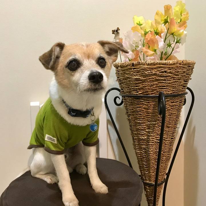 C29ba54e 7022 42f9 ad0e 931bcec7549a 1648360539037