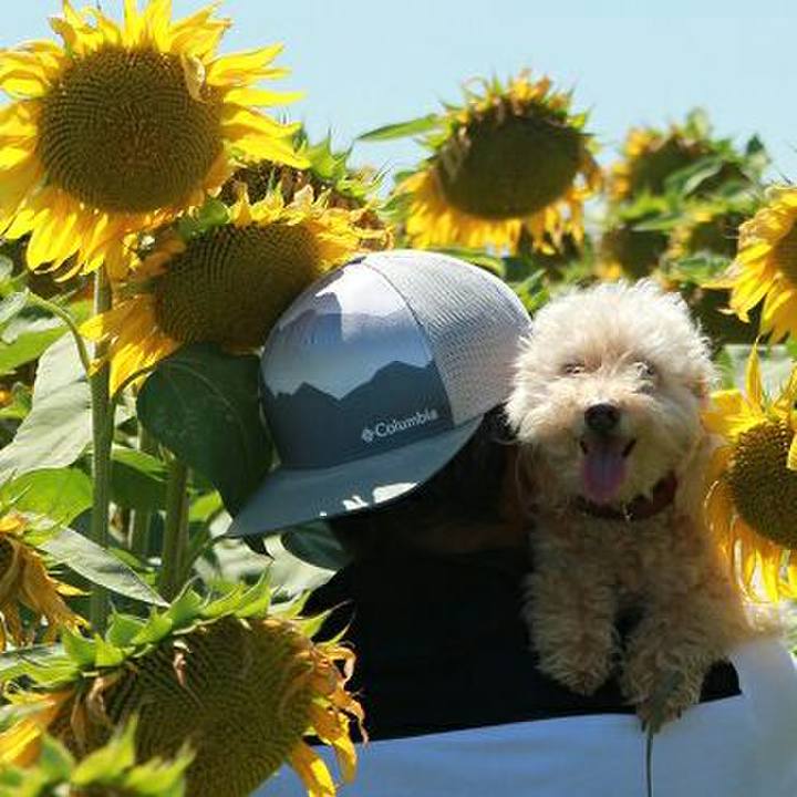 C29bd9ff c604 469b b0e1 529504df3617 1594230975938