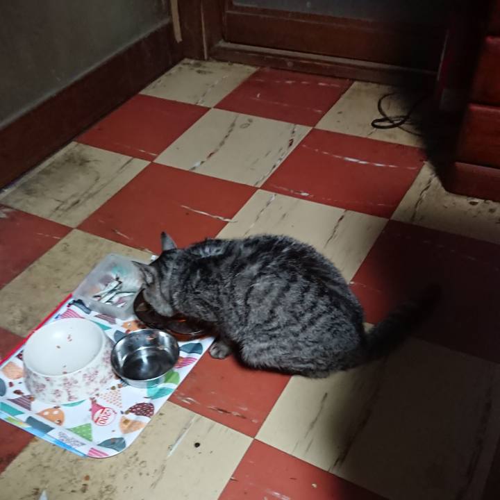 C29becea 89e9 4c82 9961 aeba60773bd2 1587674883293