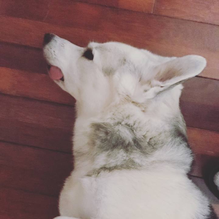 C29c0755 f24e 4b4c 9aef 9c15ce6fce7b 1591417697949