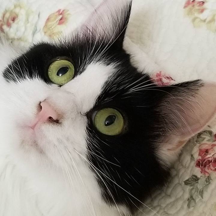 C29c1960 99a8 4cf5 8230 fe43b14ba838 1564789115137