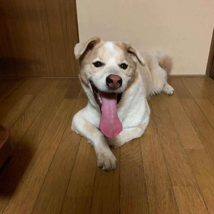 C29c58ad 19bb 4ecd a42d b4ebb94614a4 1597413542628